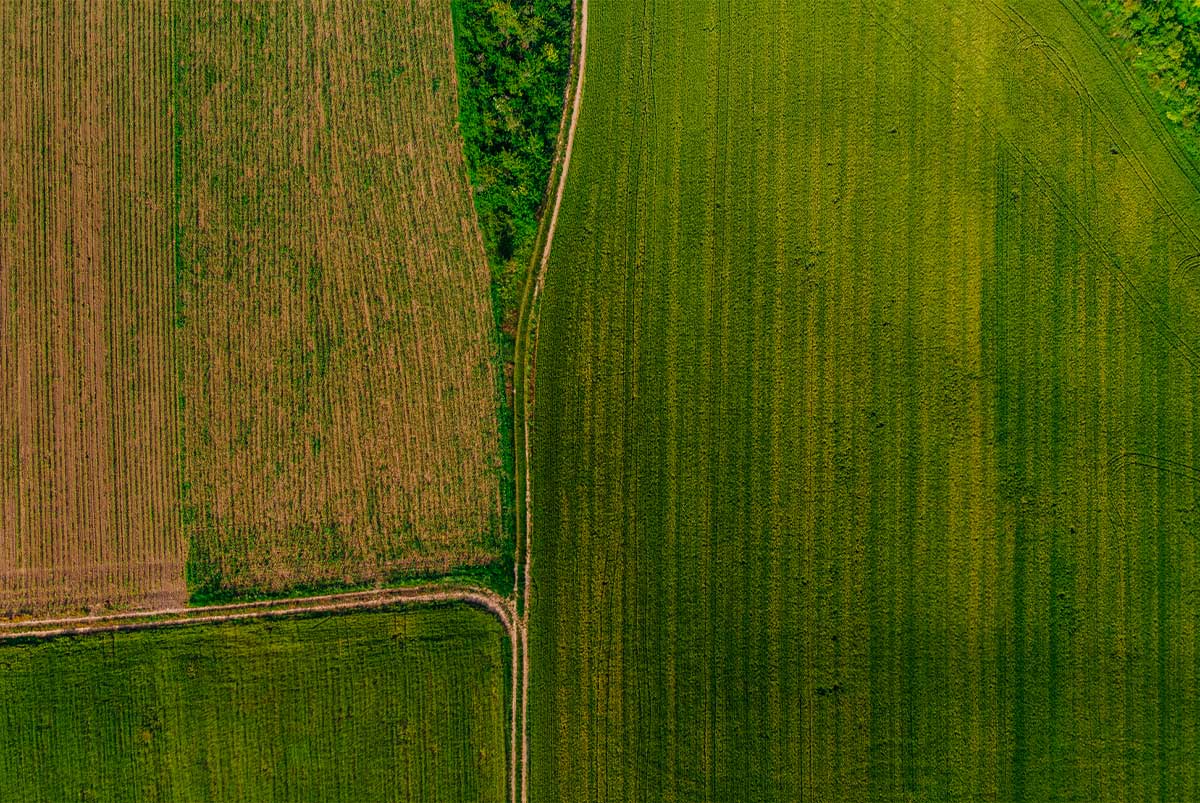 Open fields